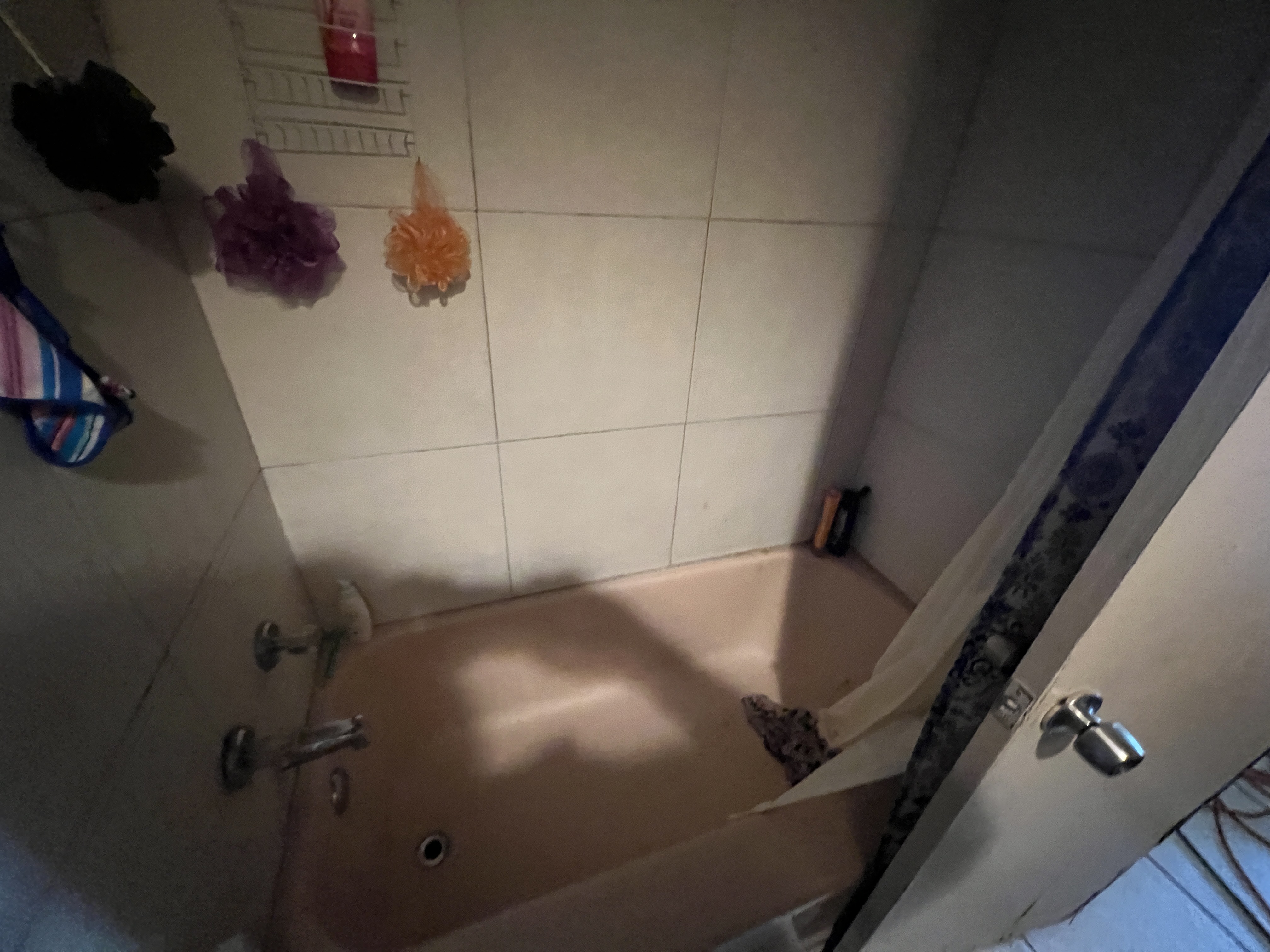 8038 27th Ave N, St. Petersburg, FL 33710, USA - Before 12