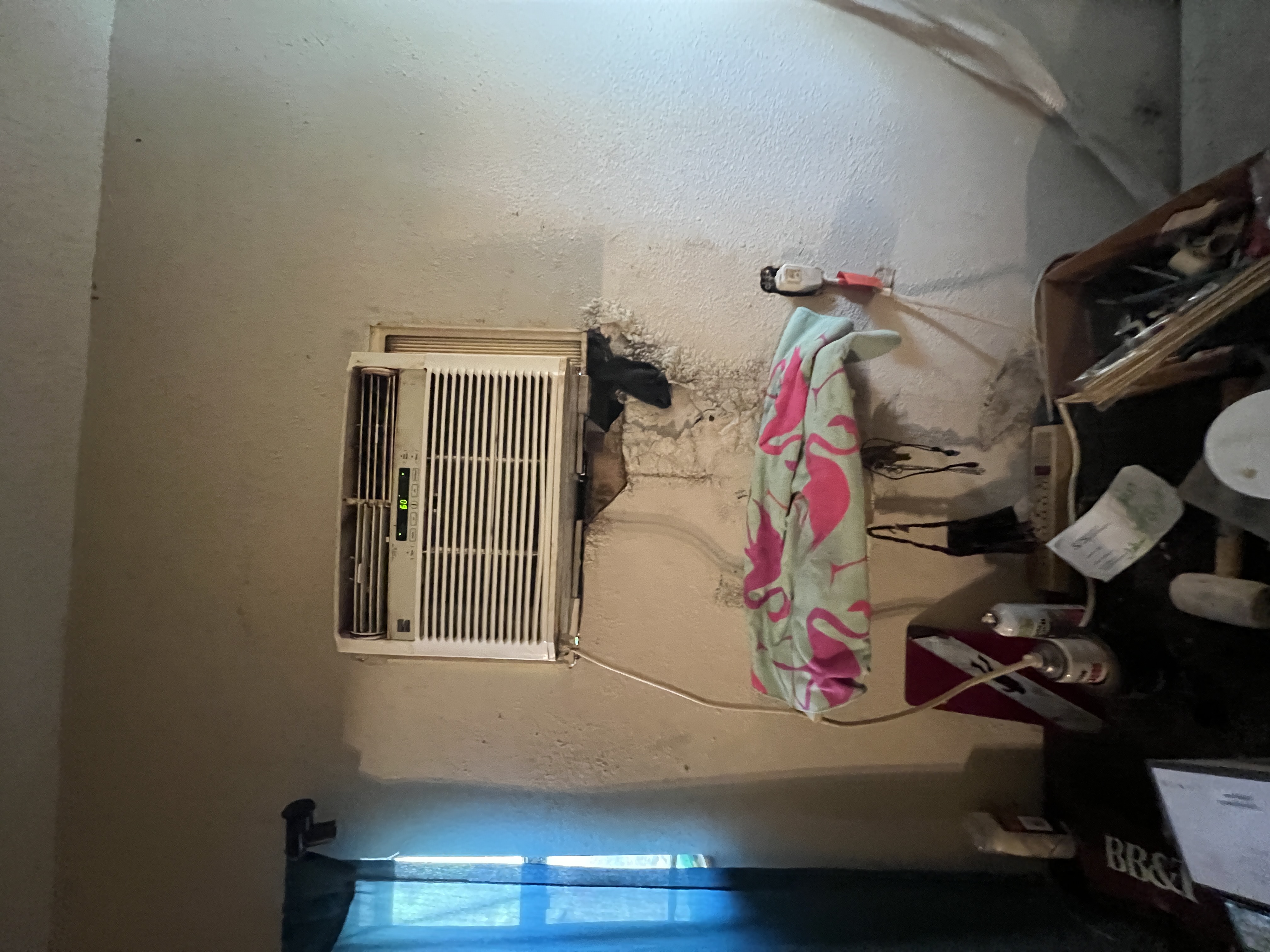 8038 27th Ave N, St. Petersburg, FL 33710, USA - Before 16